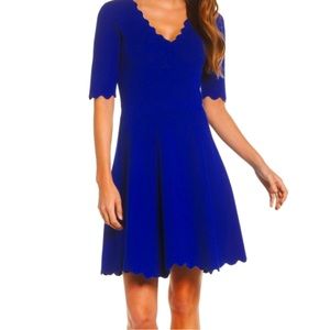 Blue Scallop Neckline Knit Dress. Eliza J, Size Medium